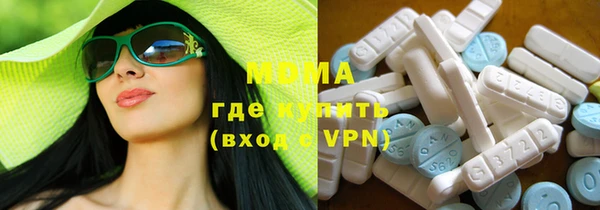 spice Богородицк