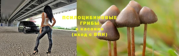 spice Богородицк