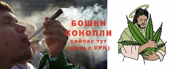 spice Богородицк