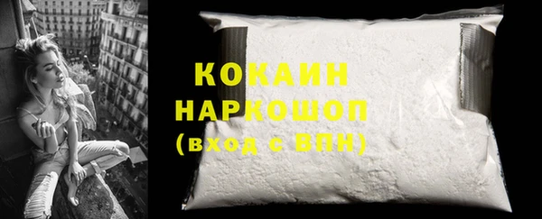 spice Богородицк
