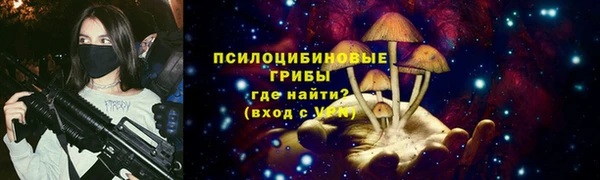 spice Богородицк