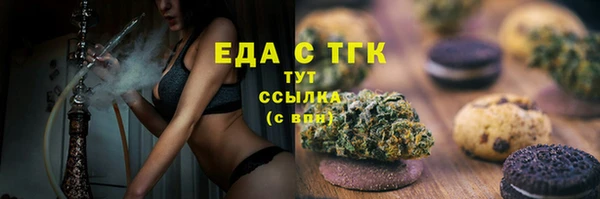 spice Богородицк