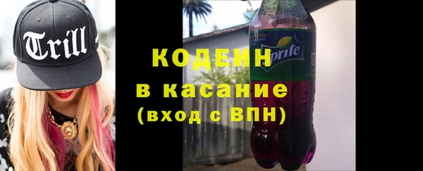 spice Богородицк