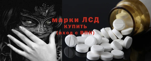 spice Богородицк