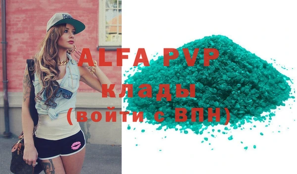 spice Богородицк