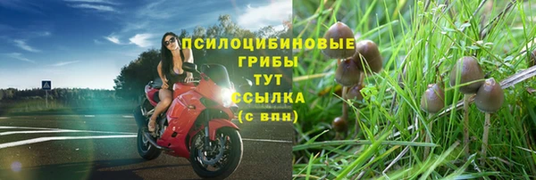 первитин Богородск