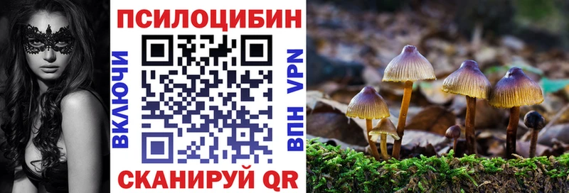 Галлюциногенные грибы Psilocybe  Тула 